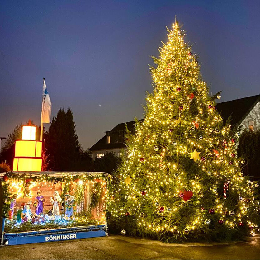 Gerüstbau Bönninger Referenzprojekt Wihnachtsbaum inkl. Krippe aus Gerüstmaterial